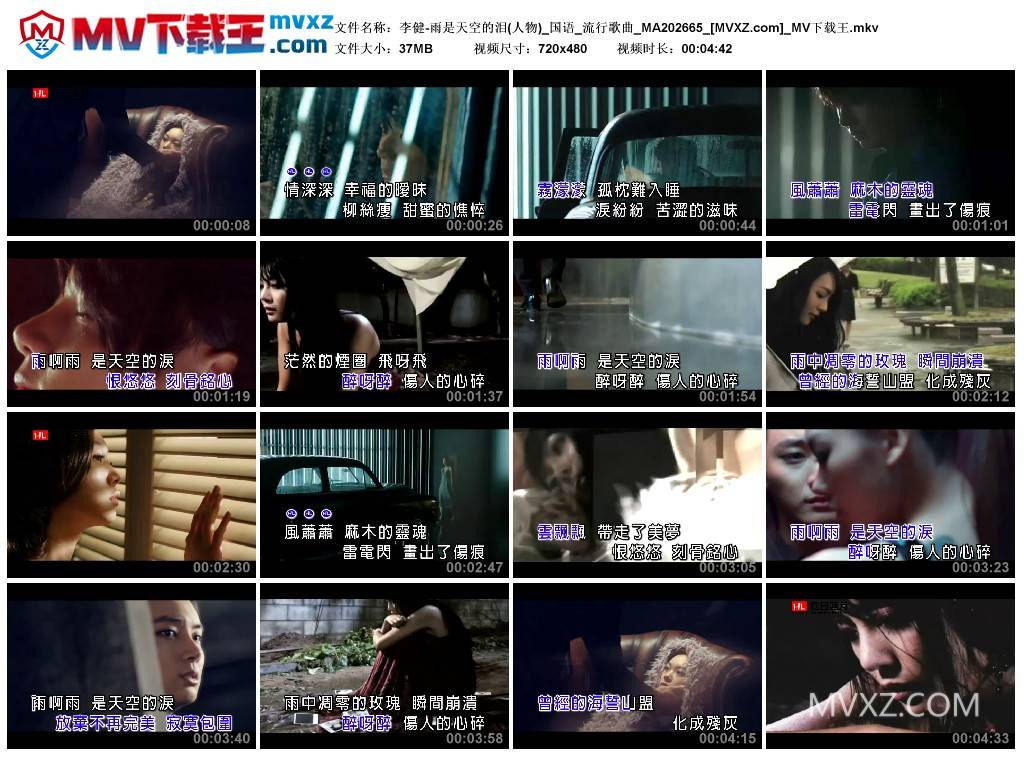 李健-雨是天空的泪(人物)_国语_流行歌曲_MA202665